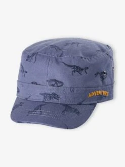 Casquette Esprit Militaire Garçon Imprimé Dinosaures Bleu Grisé Imprimé - Vertbaudet