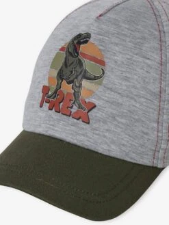 Casquette T-Rex Garçon Gris Chiné - Vertbaudet -Magasin De Vêtements Pour Bé Soldes casquette t rex garcon 2