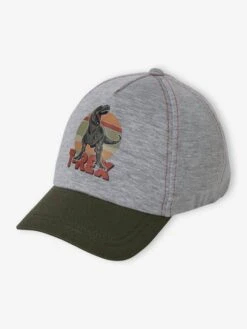 Casquette T-Rex Garçon Gris Chiné - Vertbaudet