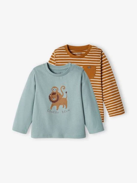 Lot De 2 T-shirts Basics Bébé Motif Animal Et Rayé Bleu Grisé - Vertbaudet 1 Lot De 2 T-shirts Basics Bébé Motif Animal Et Rayé Bleu Grisé - Vertbaudet