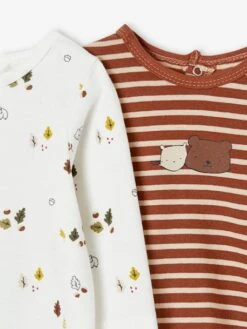 Lot De 2 T-shirts Bébé Manches Longues Noisette - Vertbaudet -Magasin De Vêtements Pour Bé Soldes lot de 2 t shirts bebe manches longues 11