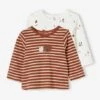 Lot De 2 T-shirts Bébé Manches Longues Noisette - Vertbaudet