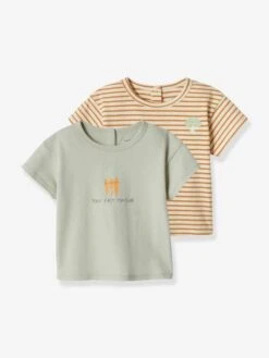Lot De 2 Tee-shirts Bébé Manches Courtes Bleu Glacier - Vertbaudet